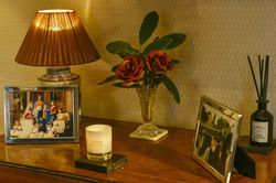 For dogs 3 luxury cottage in Somerset all breeds welcome. Enclosed gardens, private hot tubs