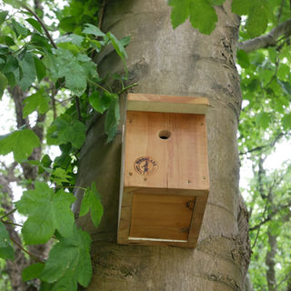 WOODLARK BUILD
Woodlark Build handmade bird box made from recycled wood sourced on site