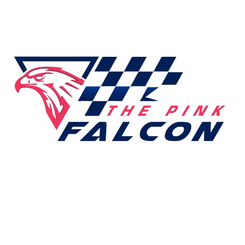 Writer: The Pink Falcon Experience Team