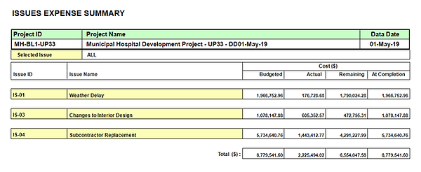 T548 - Issues Analysis - Expense Summary.png