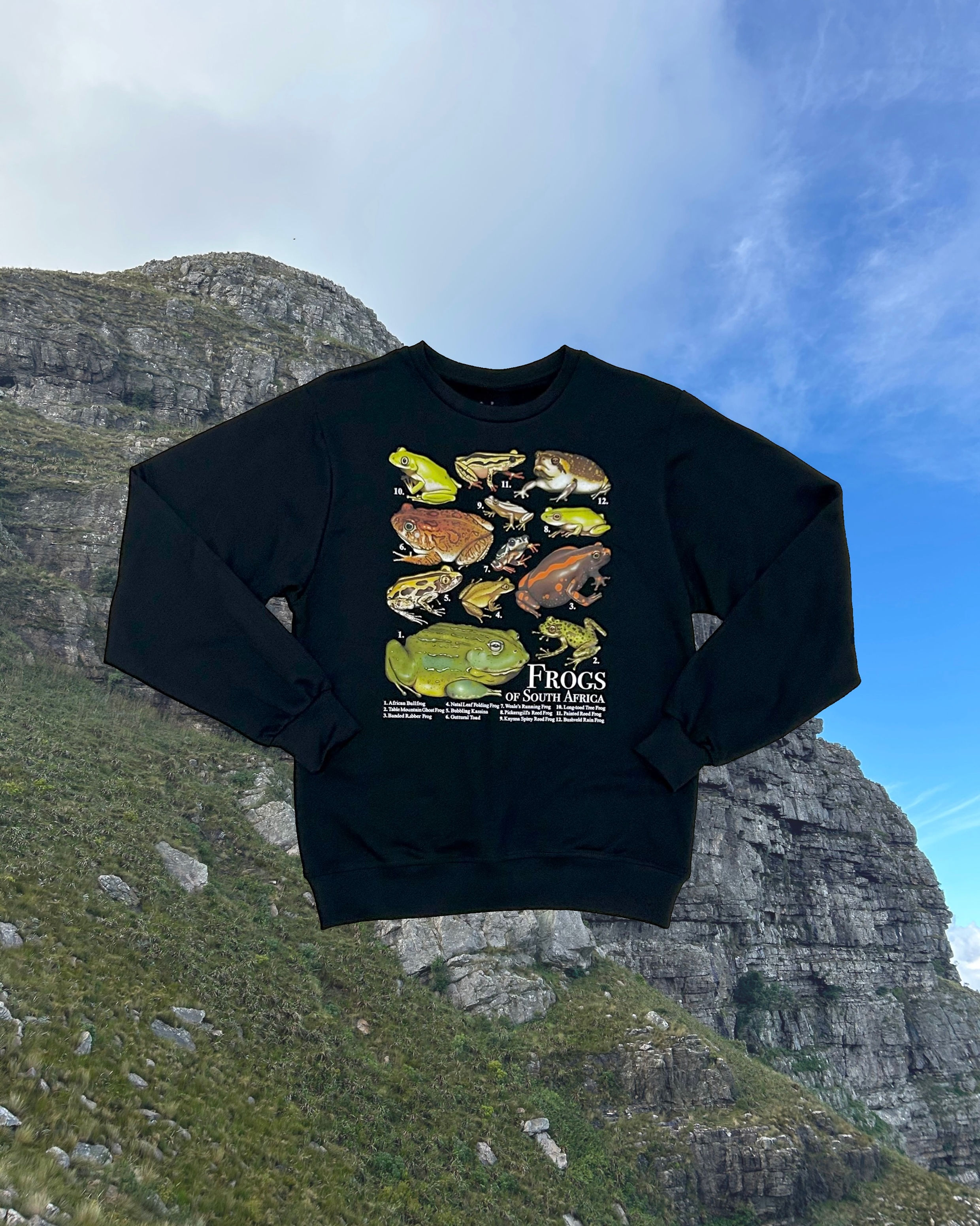 FROGS OF SA SWEATSHIRTS