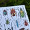 Thumbnail: BEETLES OF SA A3 PRINT