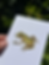 Thumbnail: MINI FROG PRINT