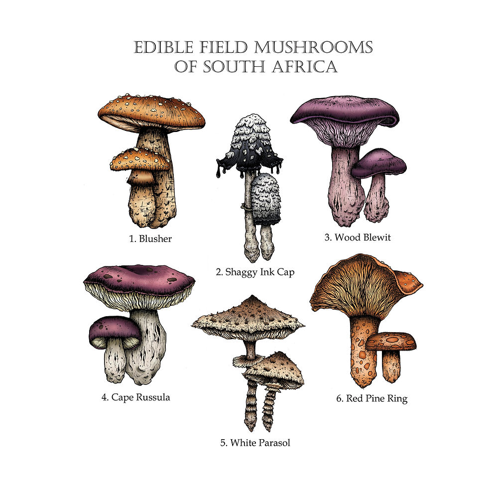 Thumbnail: MUSHROOM VINYL STICKERS