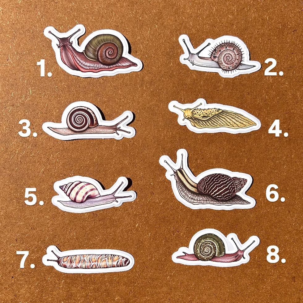 Thumbnail: LAND SLUGS & SNAILS VINYL STICKERS
