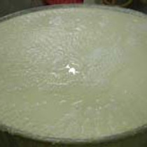 LCrystallisation.jpg