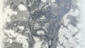 Drawing a French Bulldog in a Field of Flowers