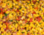 Mango chilli salsa