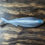 Thumbnail: 3.3" Ultra Shad