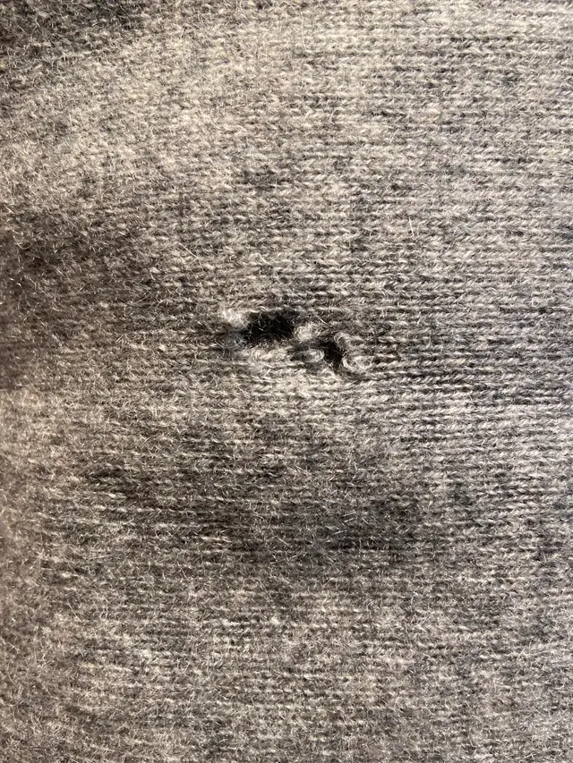 pull troué par mite