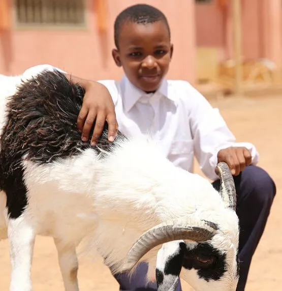 kurban kampanyasi essen camii ve talebe yurdu
