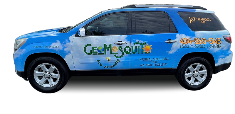 GeoMobile Cutout.webp