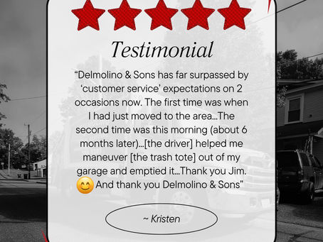 5 Star Service? Our Customers Think So! | Delmolino and Sons Rolloff Dumpster Rentals & Trash Removal