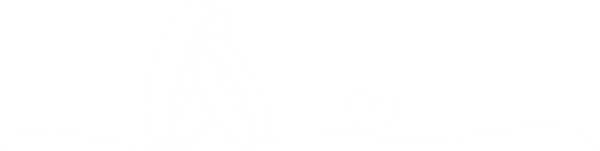 Asset 1@500x.png