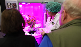 Ed and Betty Rosenthal at NASA KSC working in the VEGGIE lab