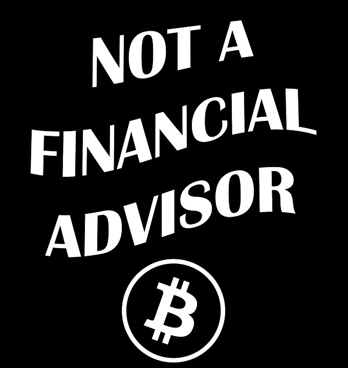 NOT A FINIACIAL ADVISER NFT_edited.jpg
