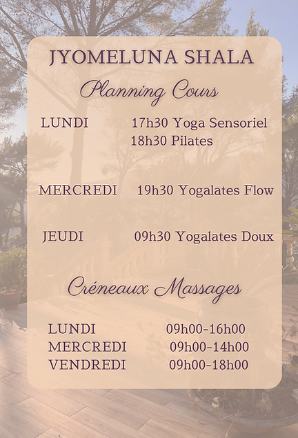 Planning Jyomeluna portrait.png