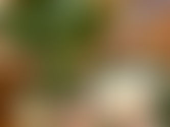 TOP 5: BEST PIZZA IN KANSAS CITY