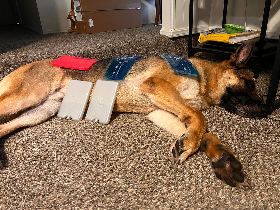Thomas demonstrating temporary cooling methods
