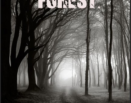 Using typography and fonts !