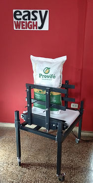 chequeador de peso en linea, pesaje continuo easy weigh