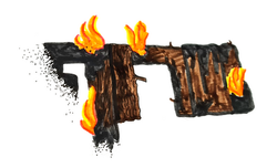 ארבל ריימונד