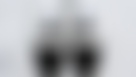 Vans #147 (Slip-On) X Fear of God