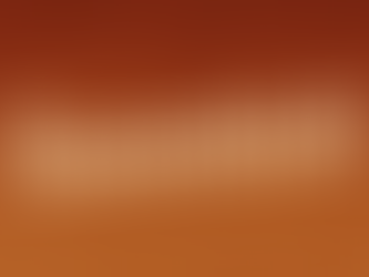 Wöchentlicher Stammtisch startet