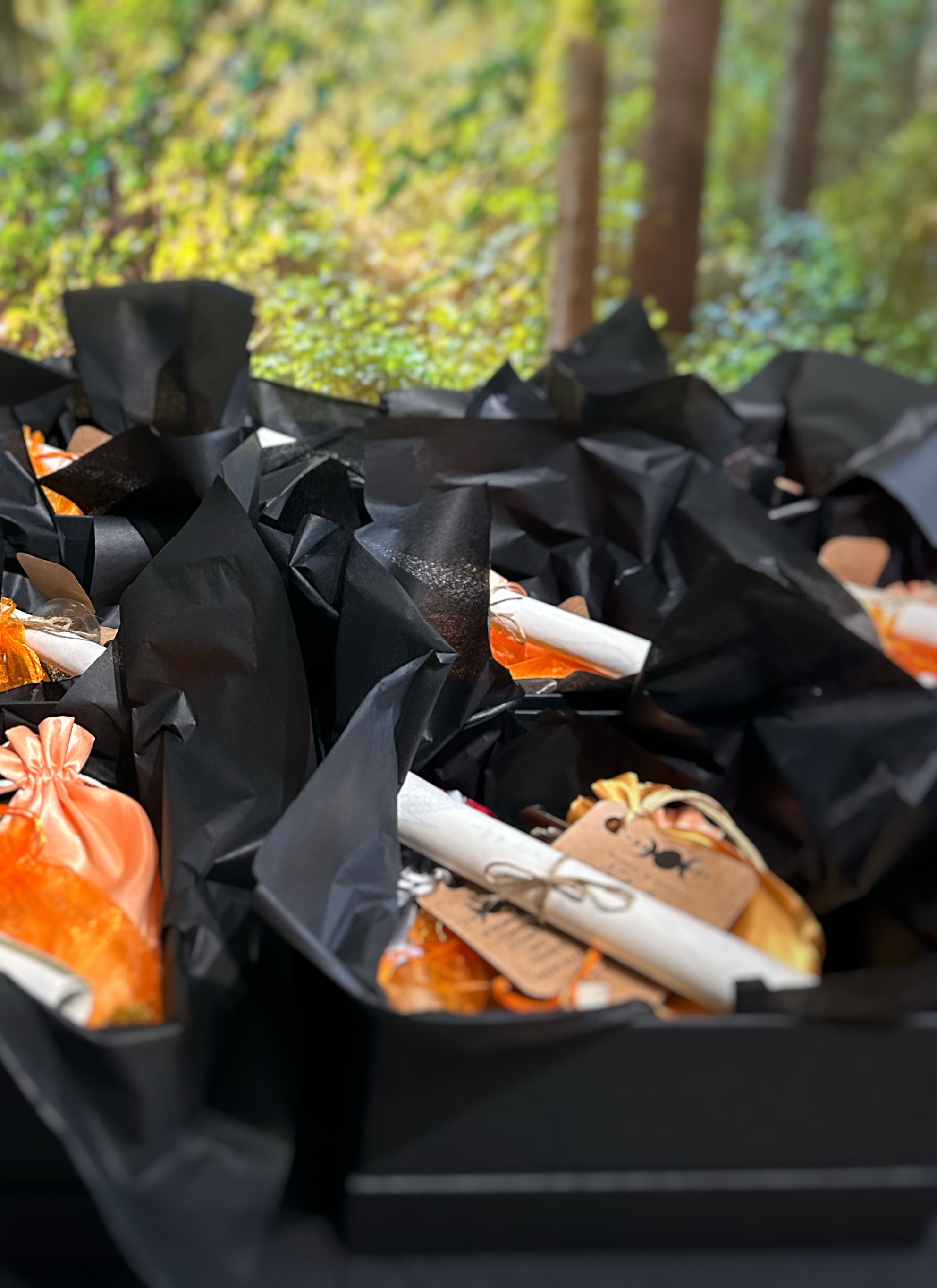 Leo Season 2024 - Moon Manifestation Box