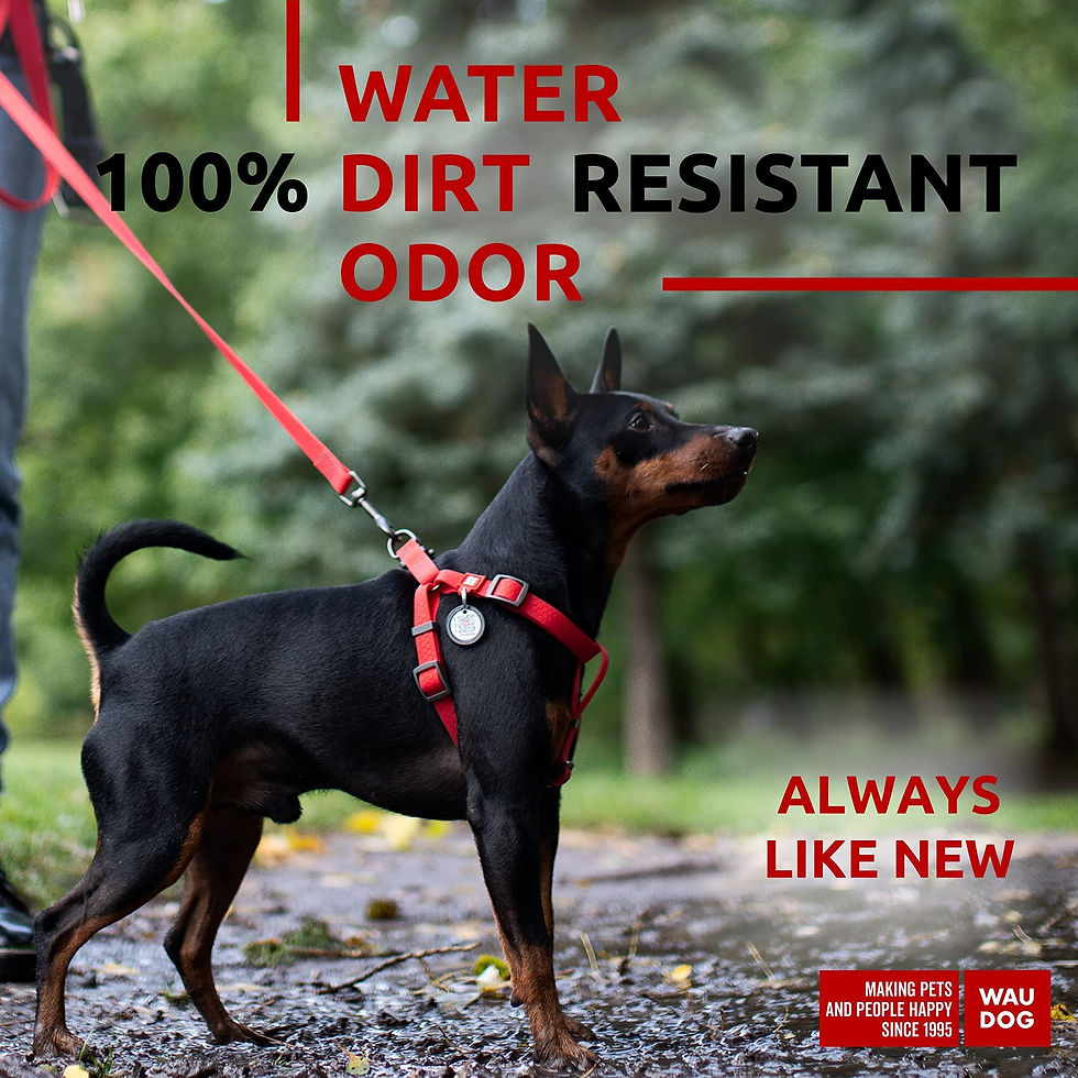 Miniatura: Red Waterproof Dog Harness Adjustable for Small Dogs S Size 1622 inch