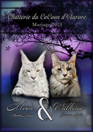 Mariage Moon & Walkiria.png