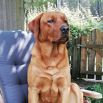 WhatsApp Image 2025-12-07 at 17.24.36.jpeg