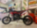 IMG_2101.jpeg