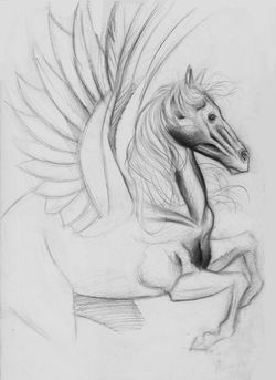 boceto pegaso.jpg