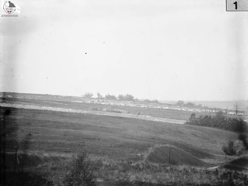Fricourt and Mametz b