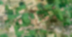 9th Brigade map overlay