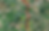 DISP OVERLAY 1