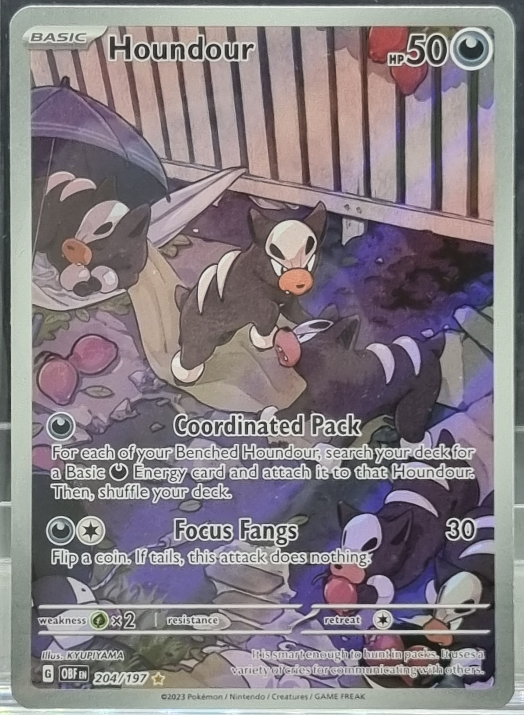 Houndour - 204/197