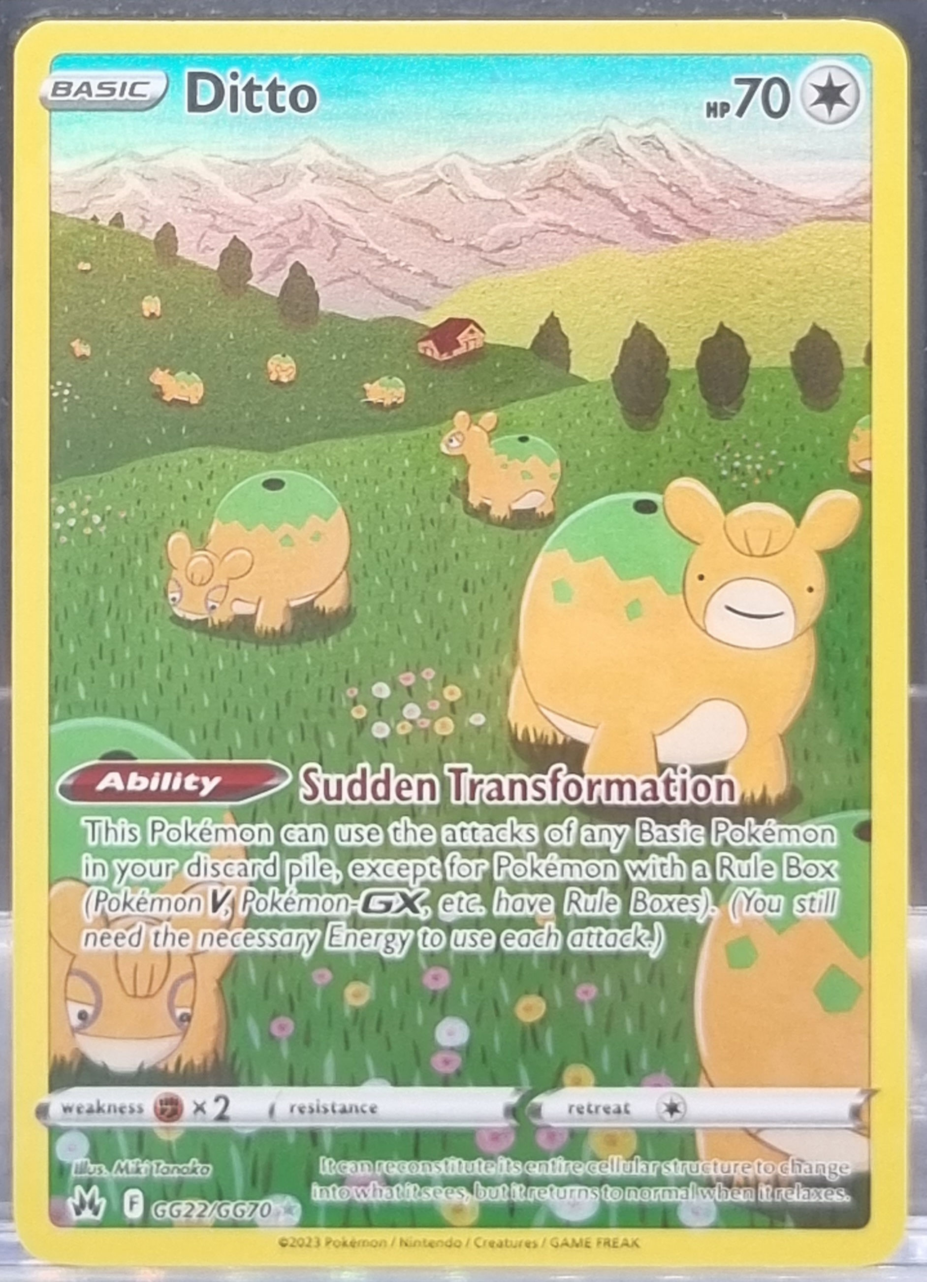 Ditto - GG22/GG70