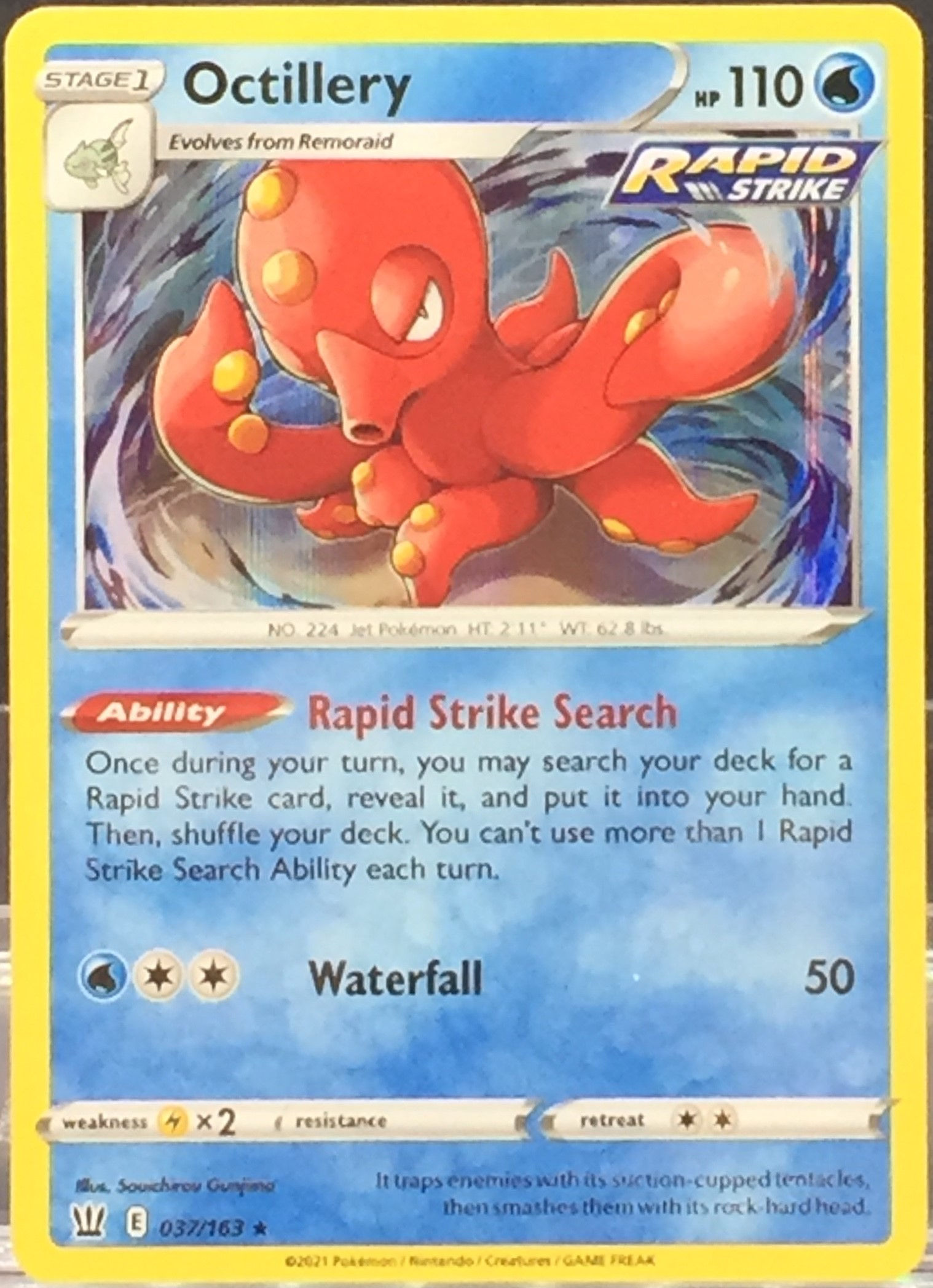 Octillery - Holo - 37/163 - (NM-M)