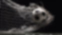 vecteezy_the-soccer-ball-is-flying-fast-tearing-the-nets-of-the-goal_22460830.jpg