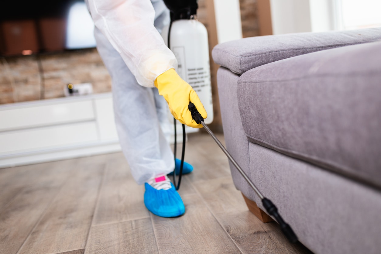 waynes pest control waynes pest control