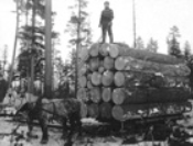 Screenshot 2025-09-05 115227.png