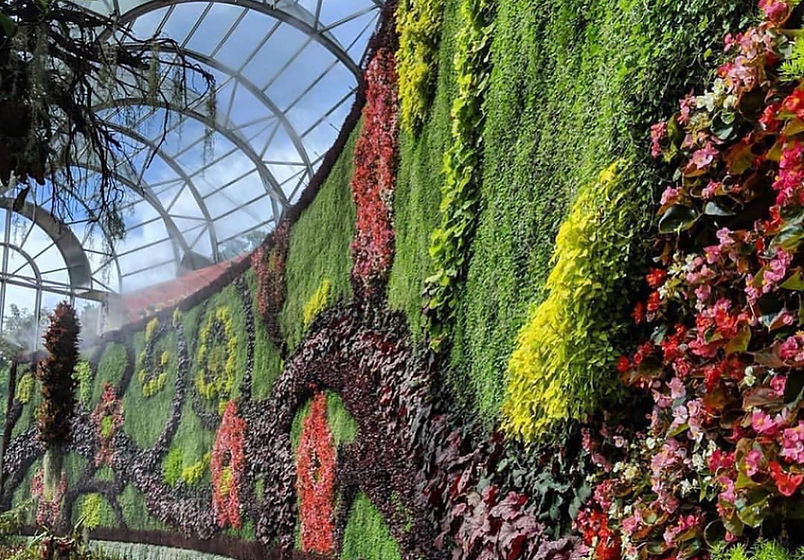 GIRUVI 「Grow on the Wall」Gracilius GIRUVI 「Grow on the Wall