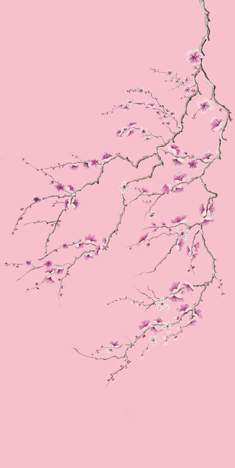 Wall Panel Art Prints, Sakura -Soft pastel sakura pink