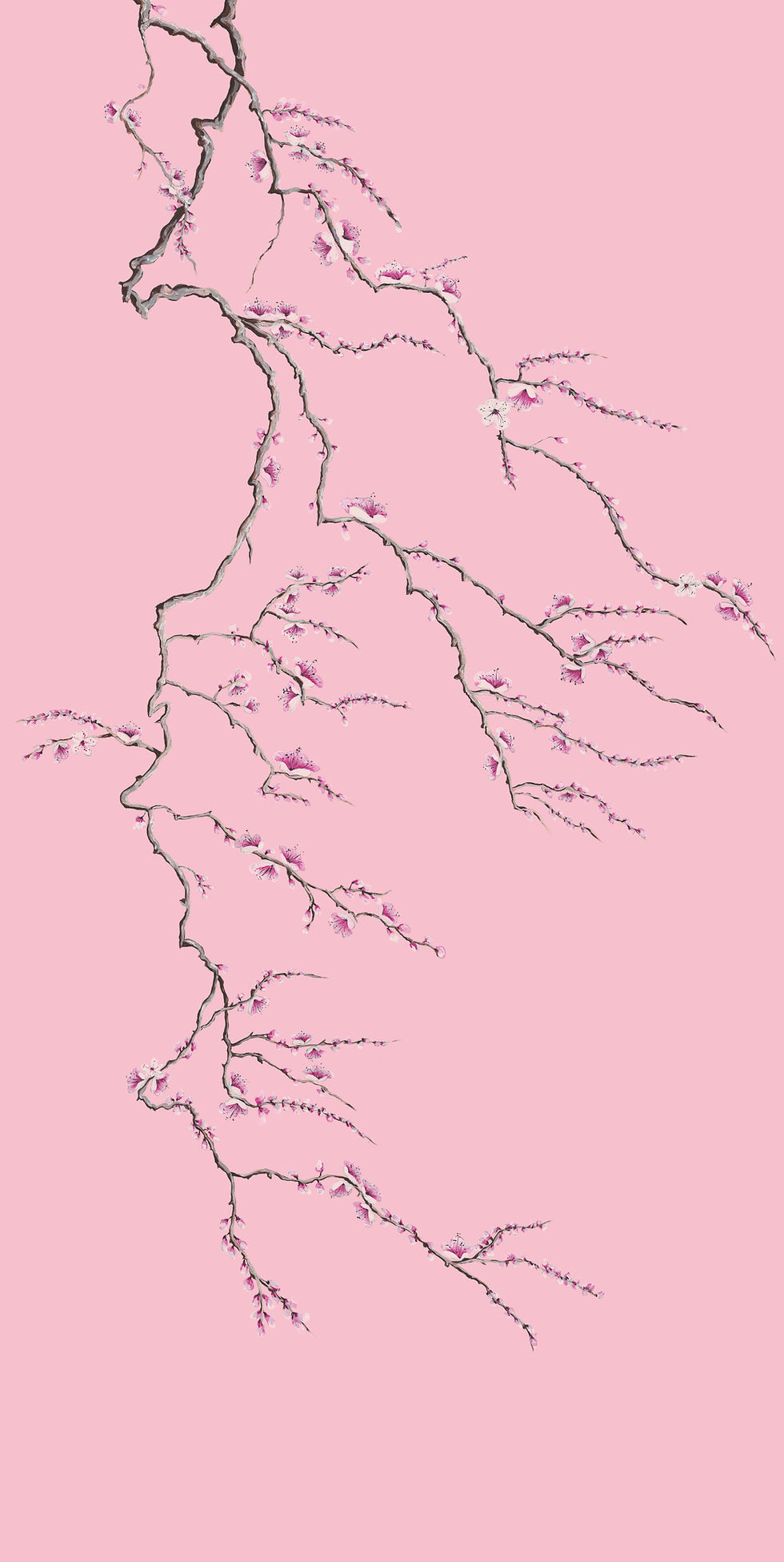 Thumbnail: Wall Panel Art Prints, Sakura -Soft pastel sakura pink