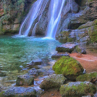 Janets Foss...