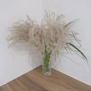 花?その後