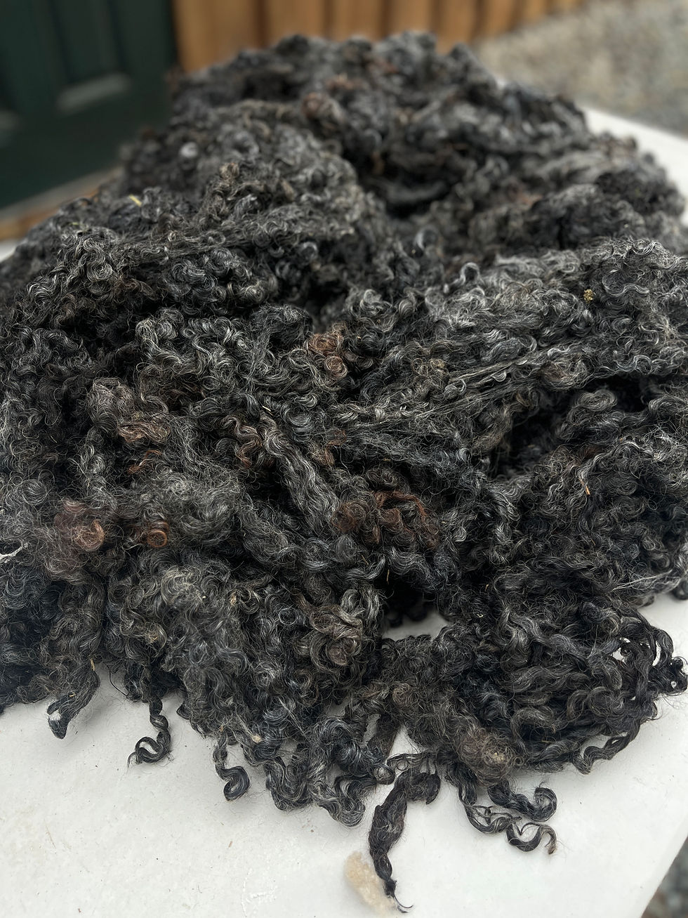 Thumbnail: Mystery Sheep - 8.5 lbs of Wensleydale Raw Fleece Natural Black Wool Fiber