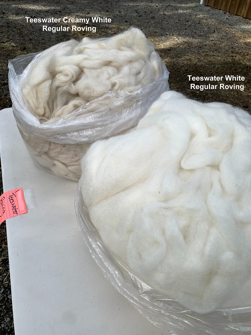 Thumbnail: Teeswater White Wool Regular Roving